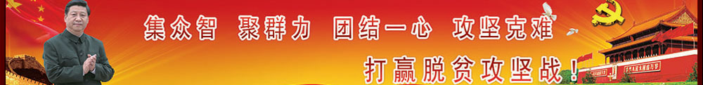 banner_02